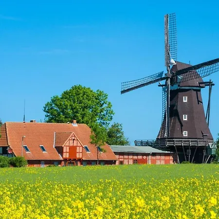 Ferienwohnung-bunte-kuh Petersdorf auf Fehmarn
